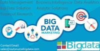 AIMLEAP - Outsource Big Data image 2